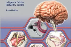 神经外科技术图谱：大脑 | Atlas of Neurosurgical Techniques: Brain, 2nd Edition