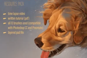 [gumroad]狗肖像教程和画笔包 | Dog Portrait Tutorial & Brush Pack