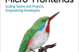 构建微前端：扩展团队和项目，为开发人员赋能 | Building Micro-Frontends: Scaling Teams and Projects Empowering Developers