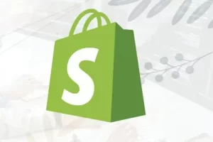 [udemy] Arayavart Shopify App 开发完整教程 | Arayavart Complete Tutorial of Shopify App Development