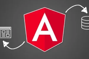 [udemy]具有 Angular Material、Angularfire 和 NgRx 的 Angular（完整应用程序）| Angular (Full App) with Angular Material, Angularfire & NgRx