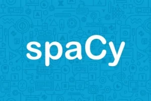 [udemy] 用于自然语言处理的 Spacy 简介 | Introduction to Spacy for Natural Language Processing