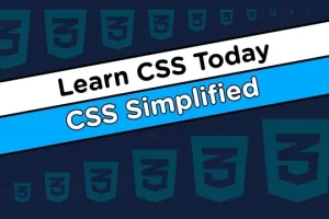 [webdevsimplified]今天学习 CSS | Learn CSS Today