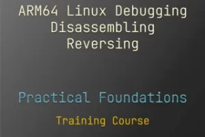 Linux调试、反汇编、反转的实践基础 | Practical Foundations of ARM64 Linux Debugging, Disassembling, Reversing