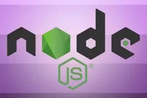 [Frontend Masters]深入Node.js | Digging Into Node.js