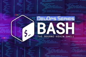 [Zero to Mastery] Bash 脚本：学习 Shell 脚本 | Bash Scripting Learn Shell Scripting