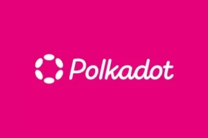 [udemy]带有 Substrate + Rust 的 Polkadot 区块链开发者训练营 | Polkadot Blockchain Developer Bootcamp with Substrate + Rust
