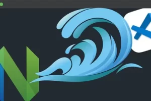 [udemy] 如何从头开始编写 Neovim 插件 | How to Write Neovim Plugin from Scratch