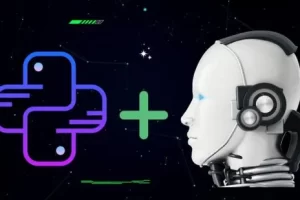 [udemy]用 Python 从零开始的信用风险预测项目 | Credit Risk Prediction Project From Scratch in Python