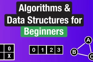 [neetcode]初学者的算法和数据结构 | Algorithms & Data Structures for Beginners