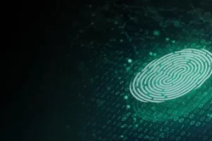 [INE]Web 应用程序渗透测试：Web 指纹识别和枚举 | Web Application Penetration Testing: Web Fingerprinting and Enumeration