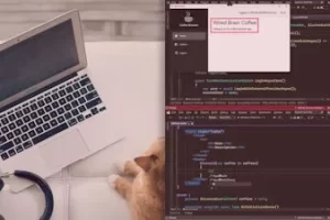 [pluralsight]构建 Blazor 混合应用程序 | Building Blazor Hybrid Apps