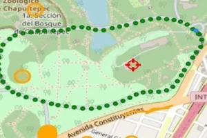 [Udemy]使用 Leaflet 和 PostGIS 的移动 GIS 数据收集应用程序 | Mobile GIS data collection apps with Leaflet and PostGIS