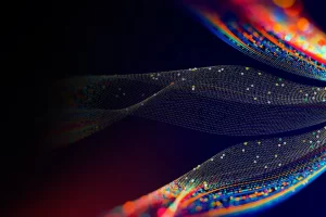 [INE]面向网络工程师的 MPLS | MPLS for Network Engineers