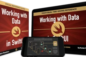 [Big Mountain Studio]在 SwiftUI 中处理数据 | Working with Data in SwiftUI
