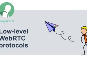 [WebRTC Courses]WebRTC 的底层协议 | LOW-LEVEL WEBRTC PROTOCOLS