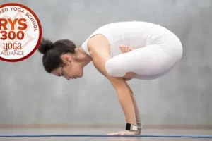 [Udemy]300 小时瑜伽老师培训 – 第 3 部分（瑜伽联盟） | 300 Hours Yoga Teacher Training – Part 3 (Yoga Alliance)