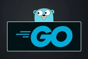 [Udemy]Go – 完整指南 | Go – The Complete Guide