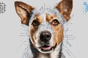 [Udemy]完整的机器学习项目 YOLOv10 | Complete Machine Learning Project YOLOv10