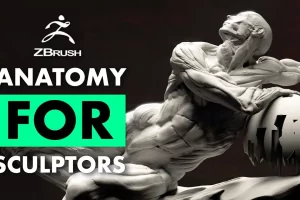[FlippedNormals]雕塑家的基本解剖学 | Fundamental Anatomy for Sculptors