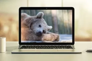 [Udemy]Hibernate：高级开发技术 | Hibernate: Advanced Development Techniques
