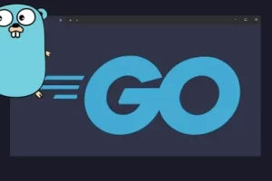 [Udemy]Go 基础 (golang) | Go Essentials (golang)