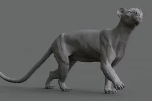 [The Gnomon Workshop]动物解剖学：建模动物头骨凹陷 | Animal Anatomy: Modeling a Fossa