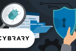 [linkedin]高级恶意软件分析：重述 | Advanced Malware Analysis: Redux