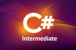 [Code with Mosh]终极 C# 系列：第二部分 | Ultimate C# Series: Part 2