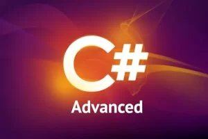 [Code with Mosh]终极 C# 系列：第三部分 | Ultimate C# Series: Part 3