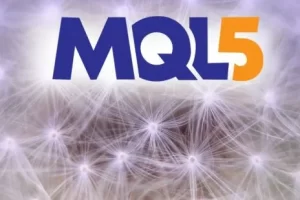 [Udemy]MQL5 机器学习 01： 用于算法交易的神经网络 | MQL5 MACHINE LEARNING 01: Neural Networks For Algo-Trading