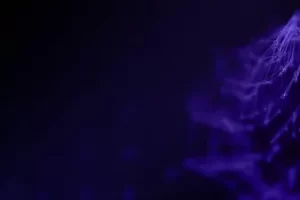 [INE]Check Point 防火墙基础知识 | Check Point Firewall Fundamentals