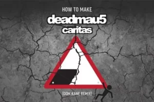 [Sonic Academy]Dom Kane教你如何制作Deadmau5的Caritas混音版 | How To Make Deadmau5 Caritas Remix with Dom Kane