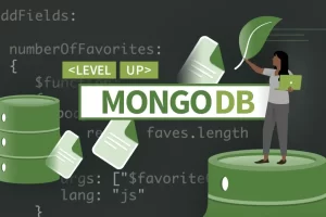 [linkedin]编码练习：高级 MongoDB | Coding Exercises: Advanced MongoDB