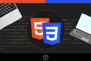 [Udemy]现代 HTML 和 CSS 从零开始 2.0（2024年重制版） | Modern HTML & CSS From The Beginning 2.0 (2024 Revamp)