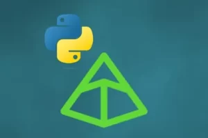 [Udemy]Pydantic V2：要点 | Pydantic V2: Essentials