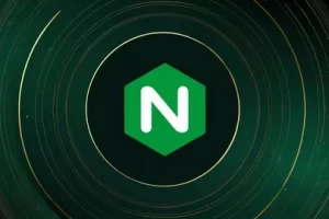 [Udemy]NGINX 训练营：从 NGINX 基础知识到高级 NGINX 精通 | NGINX Bootcamp: From NGINX Basics to Advanced NGINX Mastery