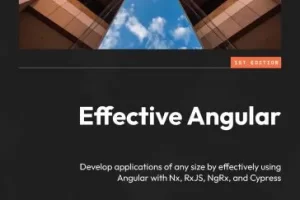 [Packt]有效的 Angular | Effective Angular