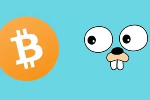 [Udemy]Golang：如何使用 go 编程构建比特币区块链 | Golang: How to build bitcoin blockchain with go programing