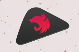 [Udemy]NestJS 从零到英雄 – 现代 TypeScript 后端开发 | NestJS Zero to Hero – Modern TypeScript Back-end Development