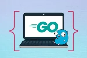 [Udemy]学习 GO 初学者速成课程（Golang） | Learn Go for Beginners Crash Course (Golang)