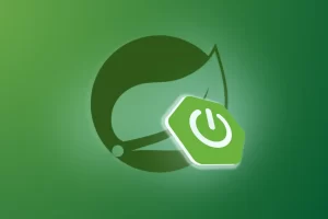 [Amigoscode]Spring Boot 大师班 | Spring Boot Master Class