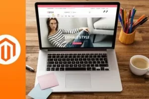 [Udemy]Magento 2 主题开发 | Magento 2 Theme Development