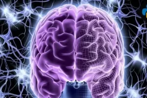[Udemy]使用 Python 进行机器学习实践：真实项目 | Hands-On Machine Learning with Python: Real Projects