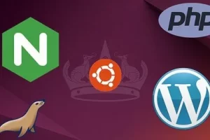 [Udemy]完美的 Nginx 服务器 – Ubuntu （24.04） 版 | The Perfect Nginx Server – Ubuntu (24.04) Edition