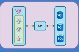 [Udemy]高级 .NET Web API：多租户应用程序 （新） | Advanced .NET Web API: Multi-Tenant Applications (NEW)