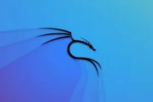 [Udemy]Kali Linux 认证课程：使用 Kali Linux 进行渗透测试 | Kali Linux Certification Course: Hacking with Kali Linux