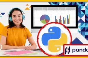 [Udemy]从入门到精通的数据分析师训练营 | The Complete Data Analyst Bootcamp From Basics To Advanced