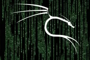 [Udemy]专业道德黑客使用 Kali Linux v2025 | Professional Ethical Hacker with Kali Linux v2025