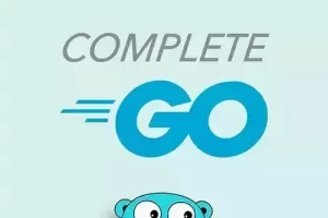 [Frontend Masters]使用 Go 构建后端 Web 应用程序的完整课程 | The Complete Course for Building Backend Web Apps with Go